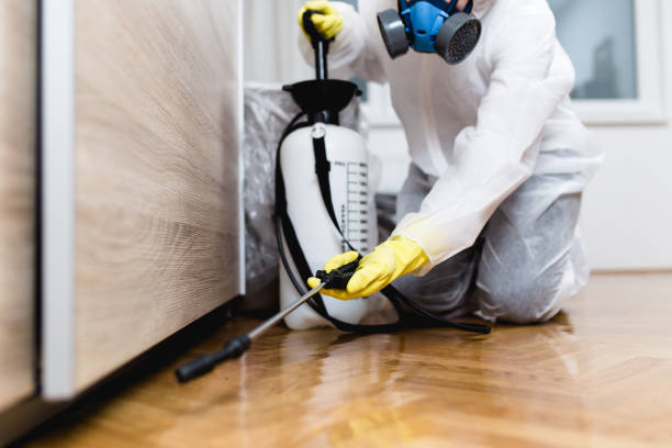 Best Insect Control  in Foresthill, CA