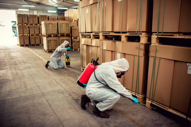 Best Bed Bug Extermination  in Foresthill, CA