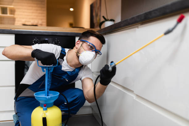 Best Pest Prevention Services  in Foresthill, CA
