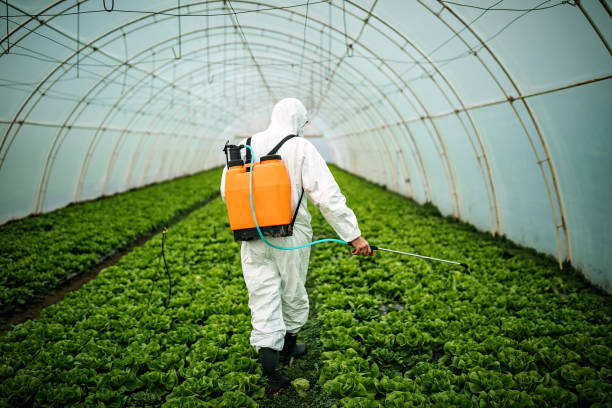 Best Emergency Pest Control  in Foresthill, CA