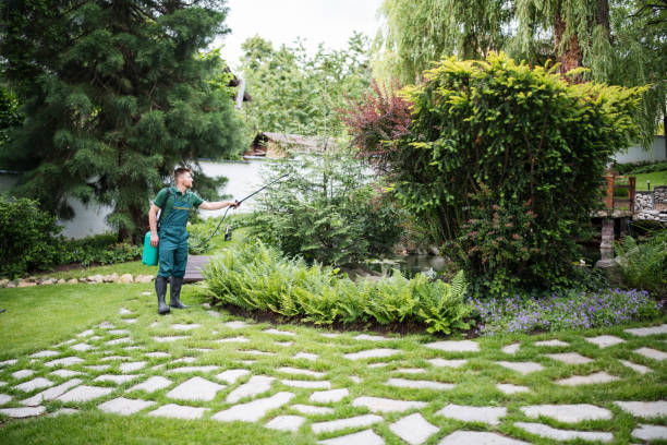 Best Cockroach Control Services  in Foresthill, CA