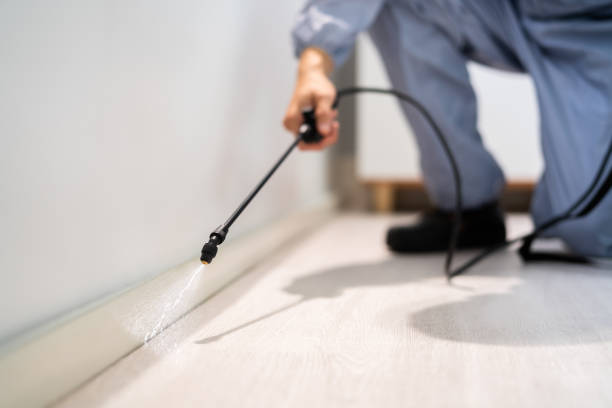 Professional Pest Control in Foresthill, CA