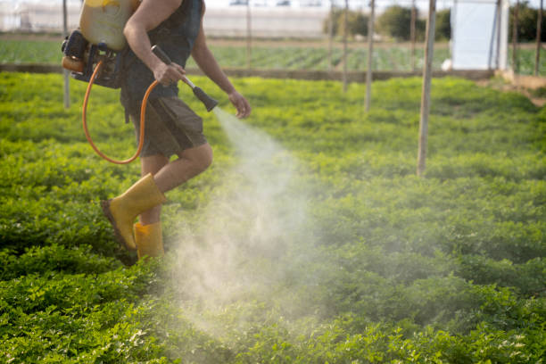 Best Commercial Pest Control Services  in Foresthill, CA