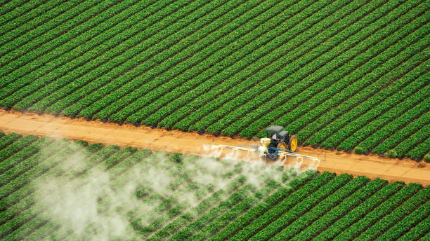 Best Pest Removal Services  in Foresthill, CA