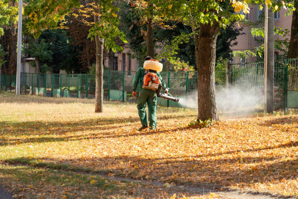Best Pest Prevention Services  in Foresthill, CA